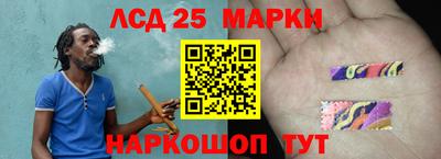 apvp Моздок