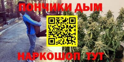 apvp Моздок