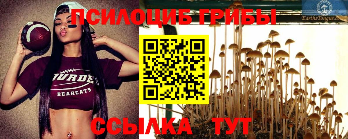 Галлюциногенные грибы Magic Shrooms Тихвин